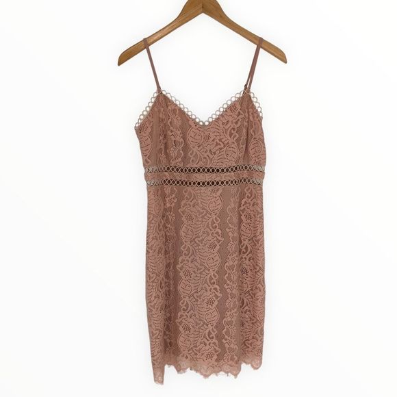 Storia Blush Pink Lace Trim Dress Cami Straps Sheer Panels size Medium - Picture 3 of 13